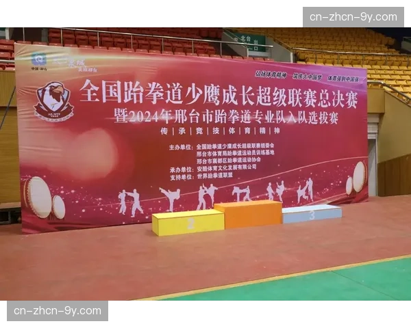 职业跆拳道联赛运营困境：观众上座率与商业赞助的挑战